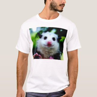 Camiseta Gambá novo