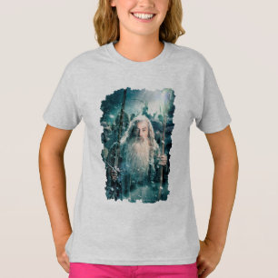 Camiseta Gandalf A Cinza