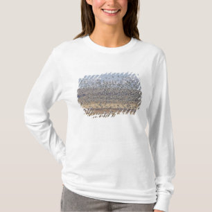 Camiseta Gansos da neve durante a migração da primavera