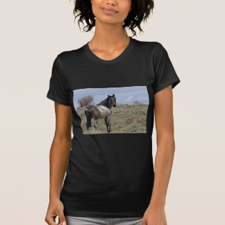 Camiseta Garanhão do leste de Douglas/Piceance HMA