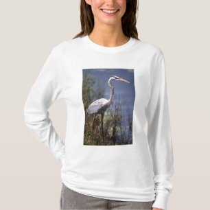Camiseta Garça-real-azul ave aquática