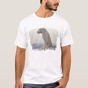 Camiseta Gárgula na balaustrada do grandioso