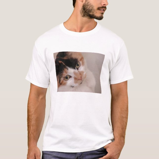 Camiseta Gata Beleza Calico (Frente)