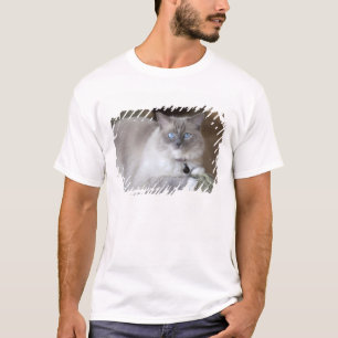 Camiseta Gata Ragdoll fêmea