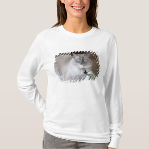 Camiseta Gata Ragdoll fêmea