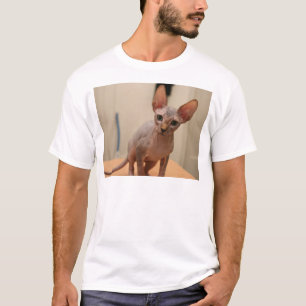 Camiseta Gatinho bonito do sphynx "eu sou furless, é você?