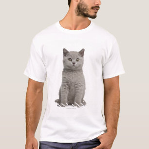Camiseta Gatinho britânico de Shorthair (10 semanas velho)