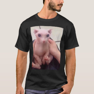 Camiseta Gatinho Careca Fofo Bingus Meu Amado Gato Sphynx S