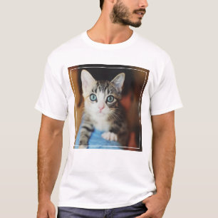 Camiseta Gatinho de Olhos Azuis Brilhante