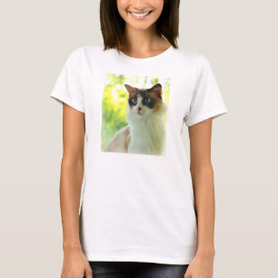 Camiseta Gatinho de Ragdoll da chita