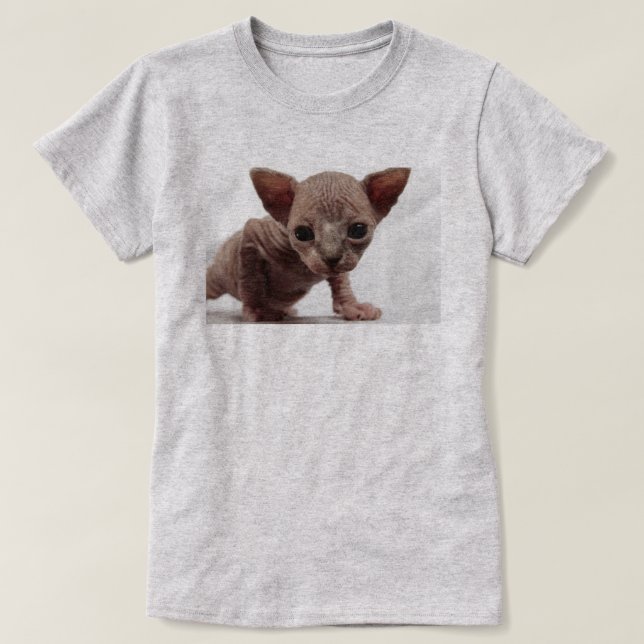 Camiseta Gatinho esfínctico sem osso, gordo e fresco (Frente do Design)