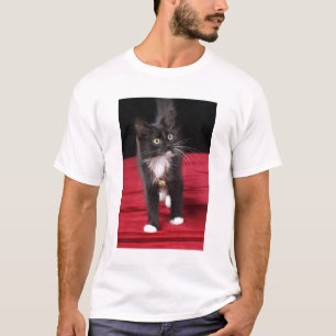 Camiseta Gatinho preto e branco de pelo curto, 2 meses e me