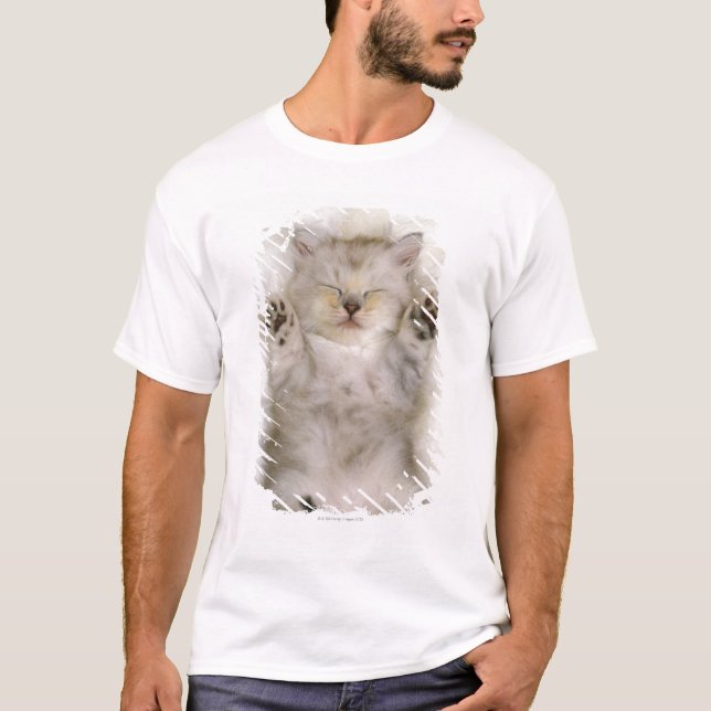 Camiseta Gatinho que dorme em um tapete macio branco, (Frente)