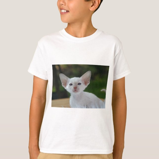 Camiseta Gatinho Siamês Super Fofo (Frente)