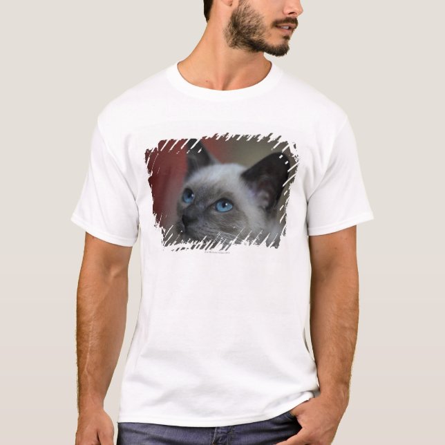 Camiseta Gatinho Siamese (Frente)