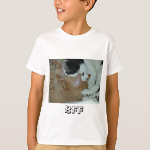 Camiseta Gatinhos apaixonados