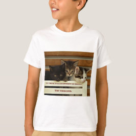 Camiseta Gatinhos bonitos