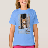 Gatinhos bonitos em uma janela azul do vintage -