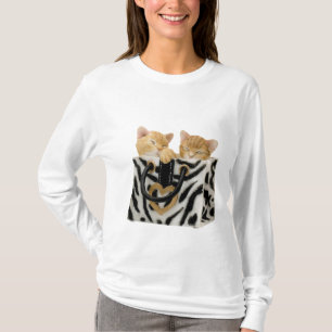 Camiseta Gatinhos bonitos na bolsa do impressão da zebra