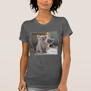 Camiseta Gatinhos curiosos