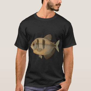 Camiseta Gato