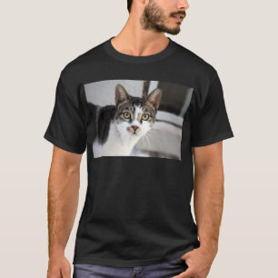Camiseta Gato