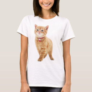 Camiseta gato