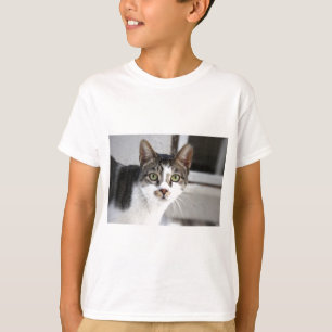 Camiseta Gato