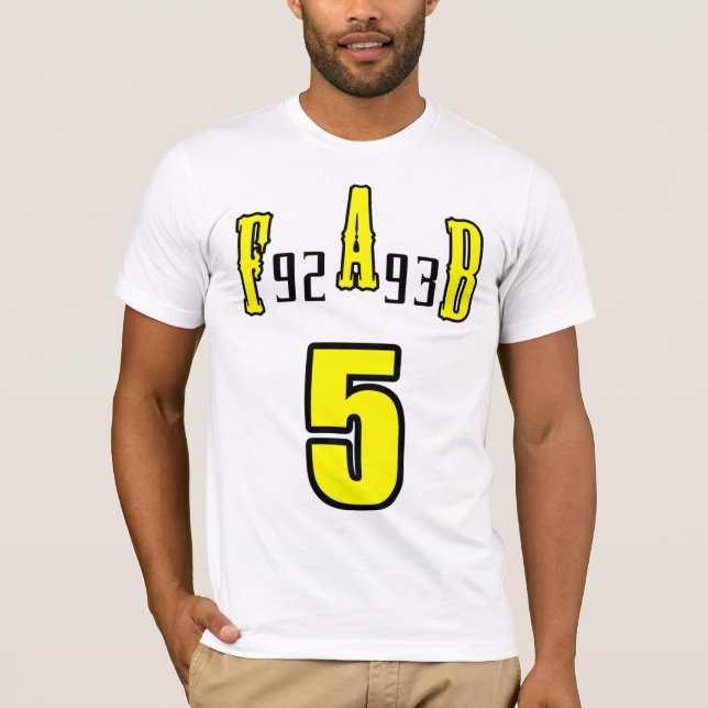Camiseta gato 5 fabuloso (Frente)