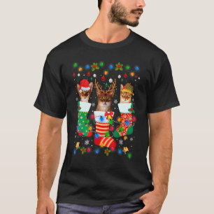 Camiseta Gato Abissino Bonito Gatinhos Meias de Natal Xmas