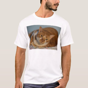 Camiseta Gato alaranjado & branco