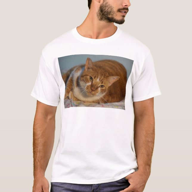 Camiseta Gato alaranjado & branco (Frente)