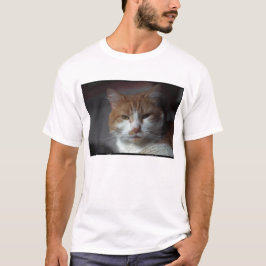 Camiseta Gato alaranjado e branco do "cravo-de-defunto" de