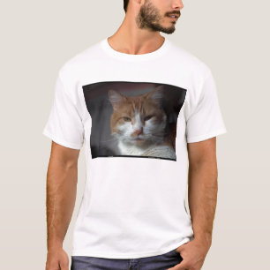 Camiseta Gato alaranjado e branco do "cravo-de-defunto" de