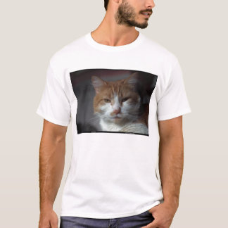 Camiseta Gato alaranjado e branco do "cravo-de-defunto" de