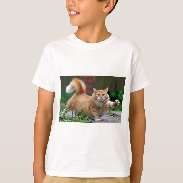 Camiseta Gato alaranjado gordo grande (Frente)