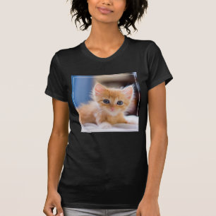 Camiseta Gato bonito com olhos azuis