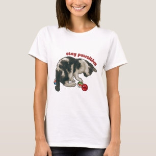 Camiseta Gato Brincando com BOLAS DE GUDE, Fique Patasitivo