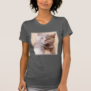 Camiseta Gato britânico bonito de Shorthair