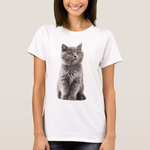Camiseta Gato British Shorthair Cinza Fofo Olhos Dourados M