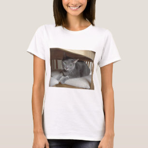 Camiseta Gato Cinza/Azul Russo