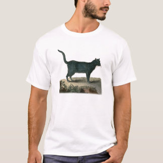 Camiseta Gato de Chartreux