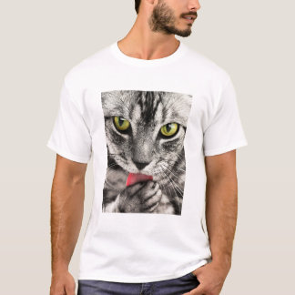 Camiseta Gato de gato malhado bonito