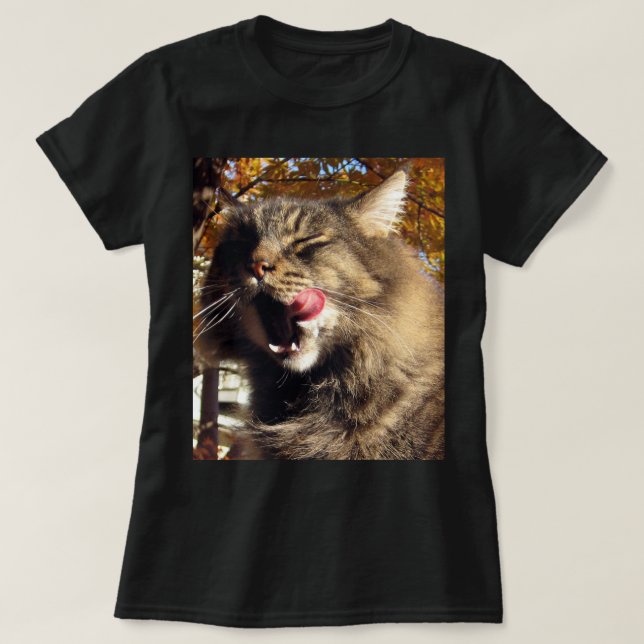 Camiseta Gato de Maine Coon (Frente do Design)