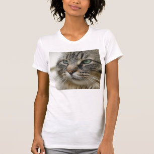 Camiseta Gato de racum de Maine