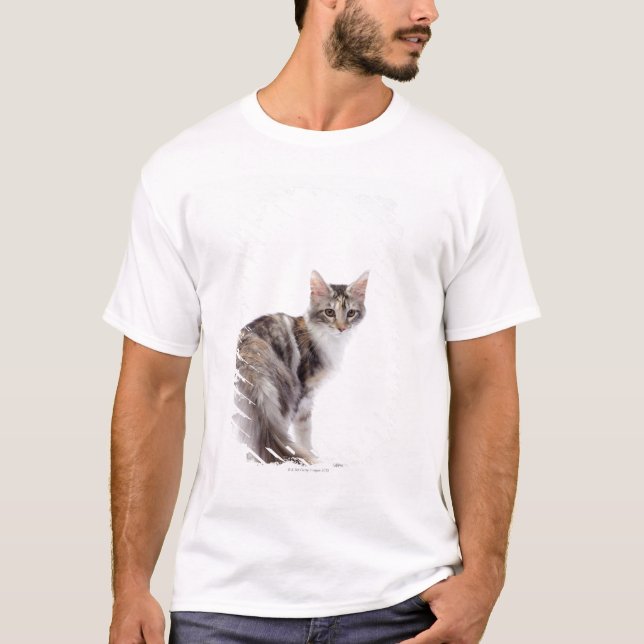 Camiseta Gato de racum de Maine (Frente)