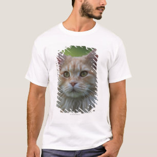 Camiseta Gato de racum principal