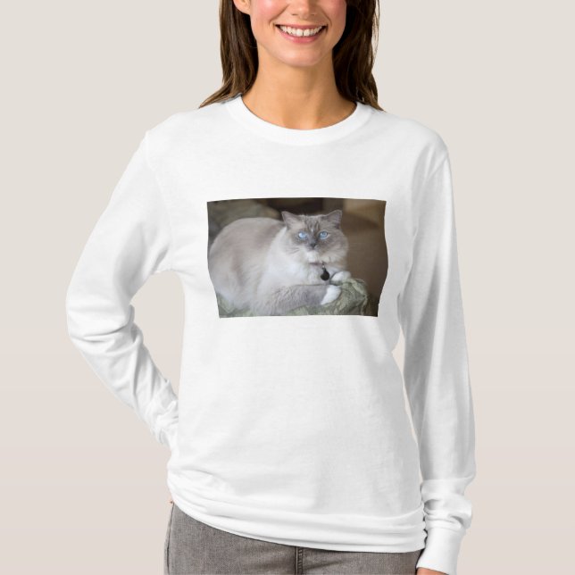 Camiseta Gato de Ragdoll feminino (Frente)