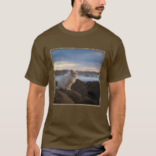 Camiseta Gato de Ragdoll na praia