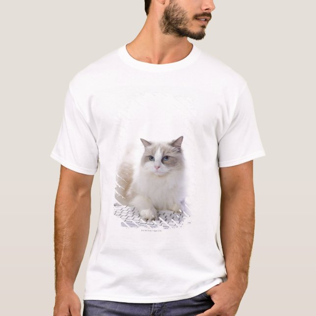Camiseta Gato de Ragdoll no teclado de computador (Frente)